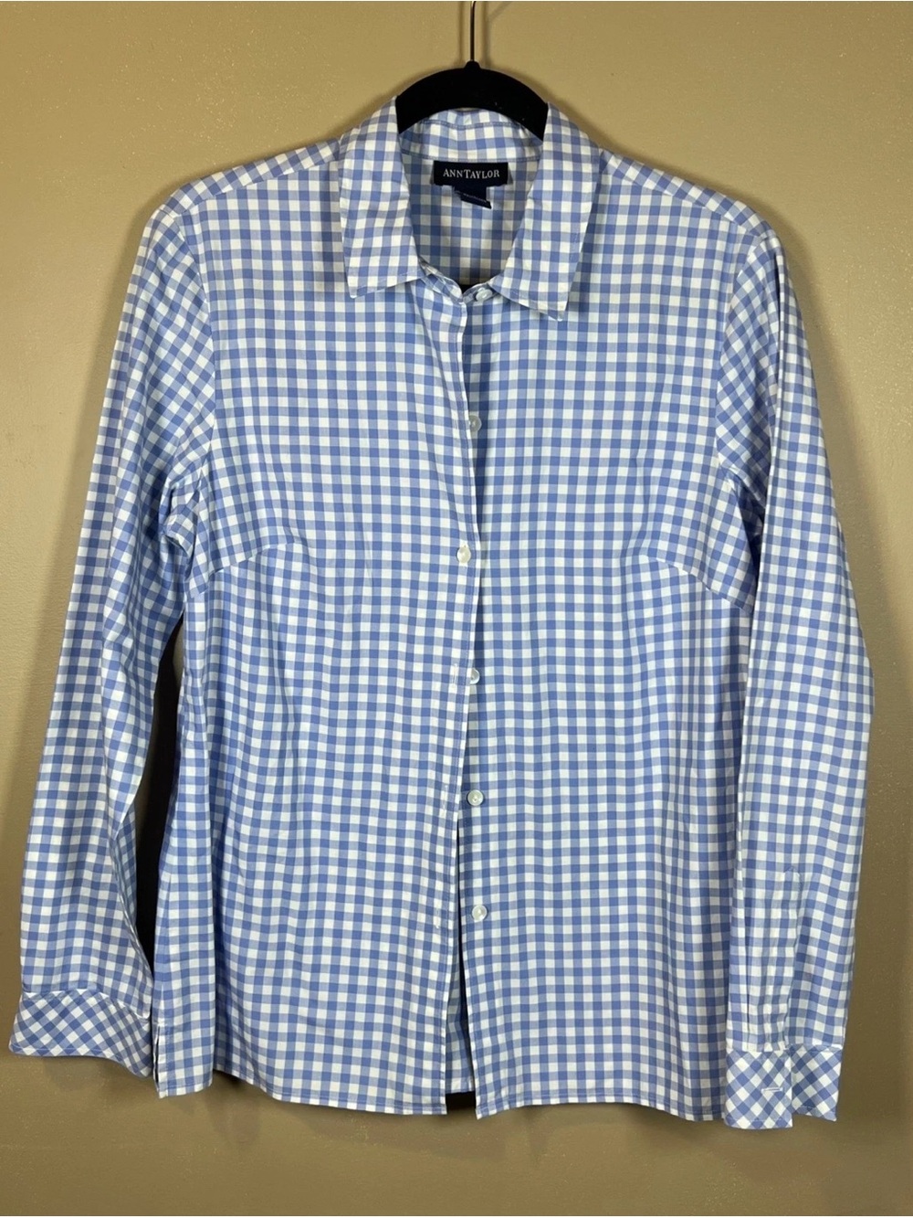 Ann Taylor Men’s Blue Gingham Button-Down Shirt